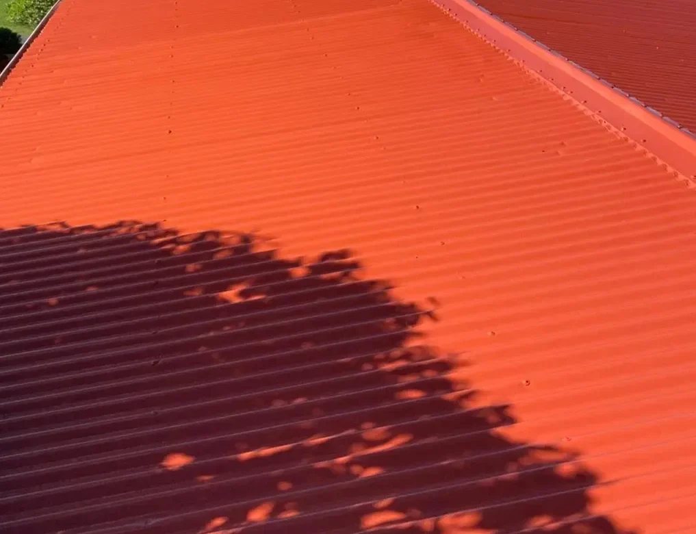 Roof Re-Sealing & Painting Success